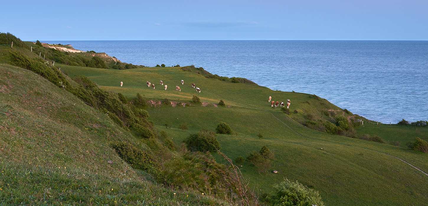 Bakket istidslandskab ud til Øhavet