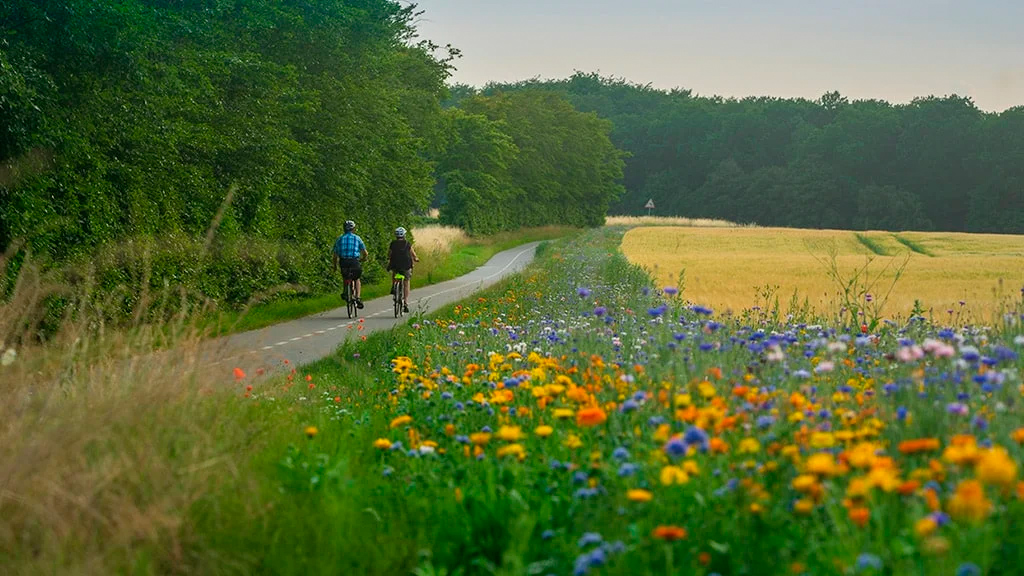 Cykelferie på Langeland - opdag den danske natur