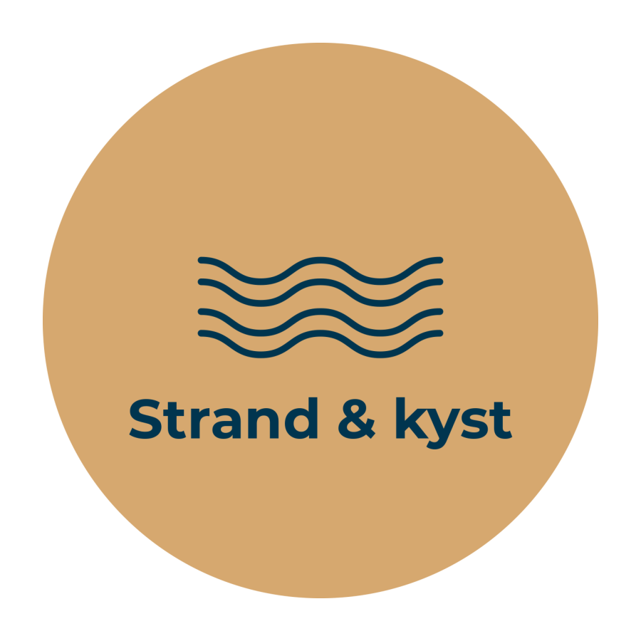 Strand og kyst