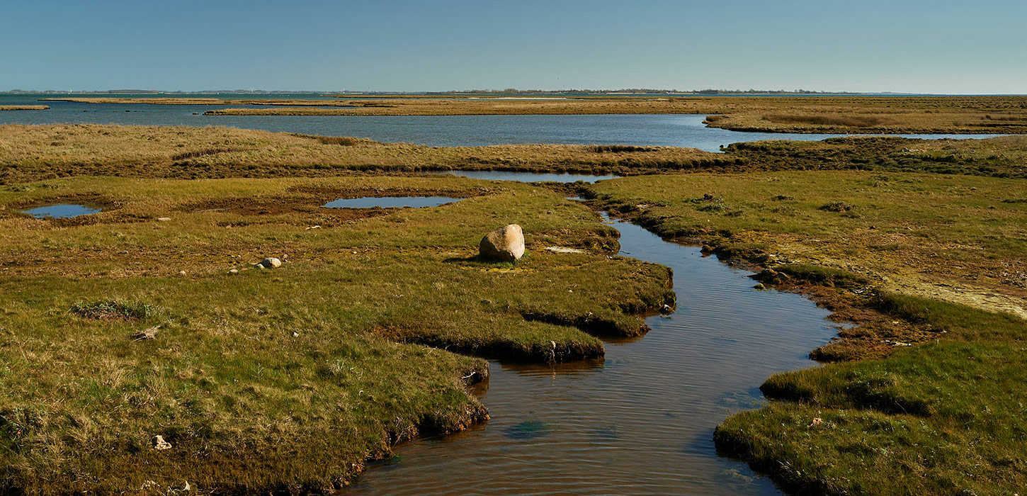  Landskabsbillede fra Monnet fotograferet i sydlig retning fra fugletårnet