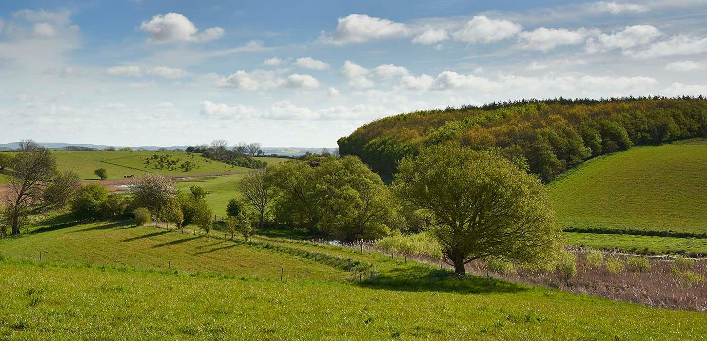 De parallelle dale (den sydligste af dem) i den sydøstlige del af øen fotograferet mod øst