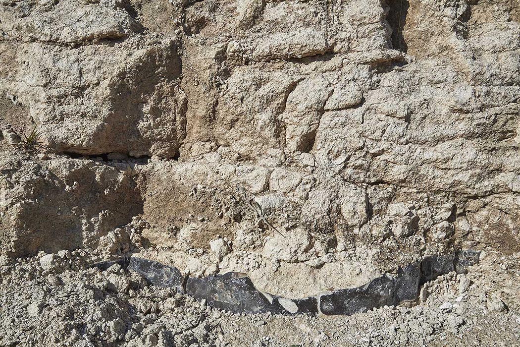 Lag i kalkgraven som tydeligt viser overgangen mellem to tidsperioder