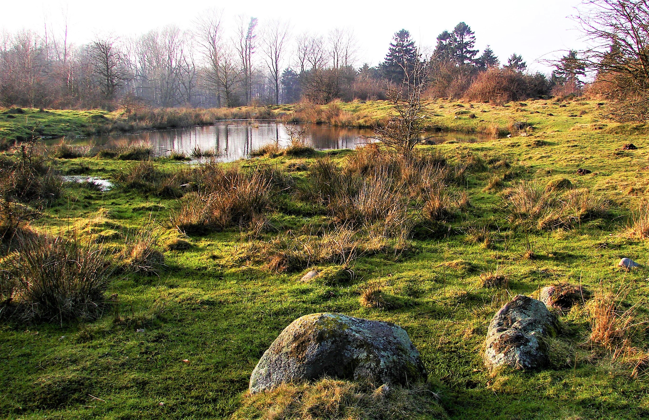 Rødme Svinehaver. Geopark Det Sydfynske Øhav