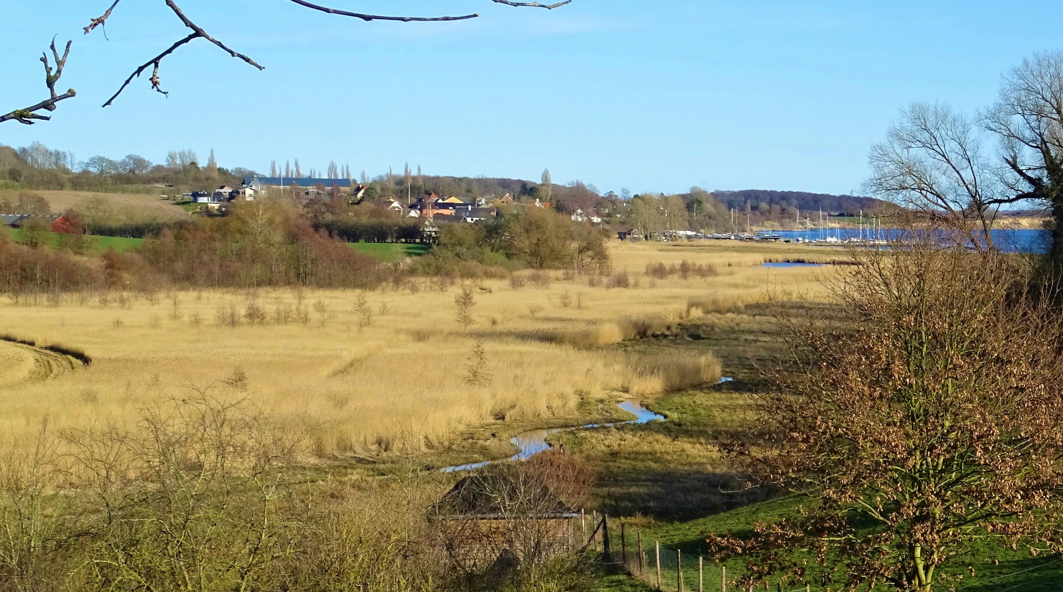 Mundingen af Syltemade Ådal ved Ballen. Geopark Det Sydfynske Øhav.