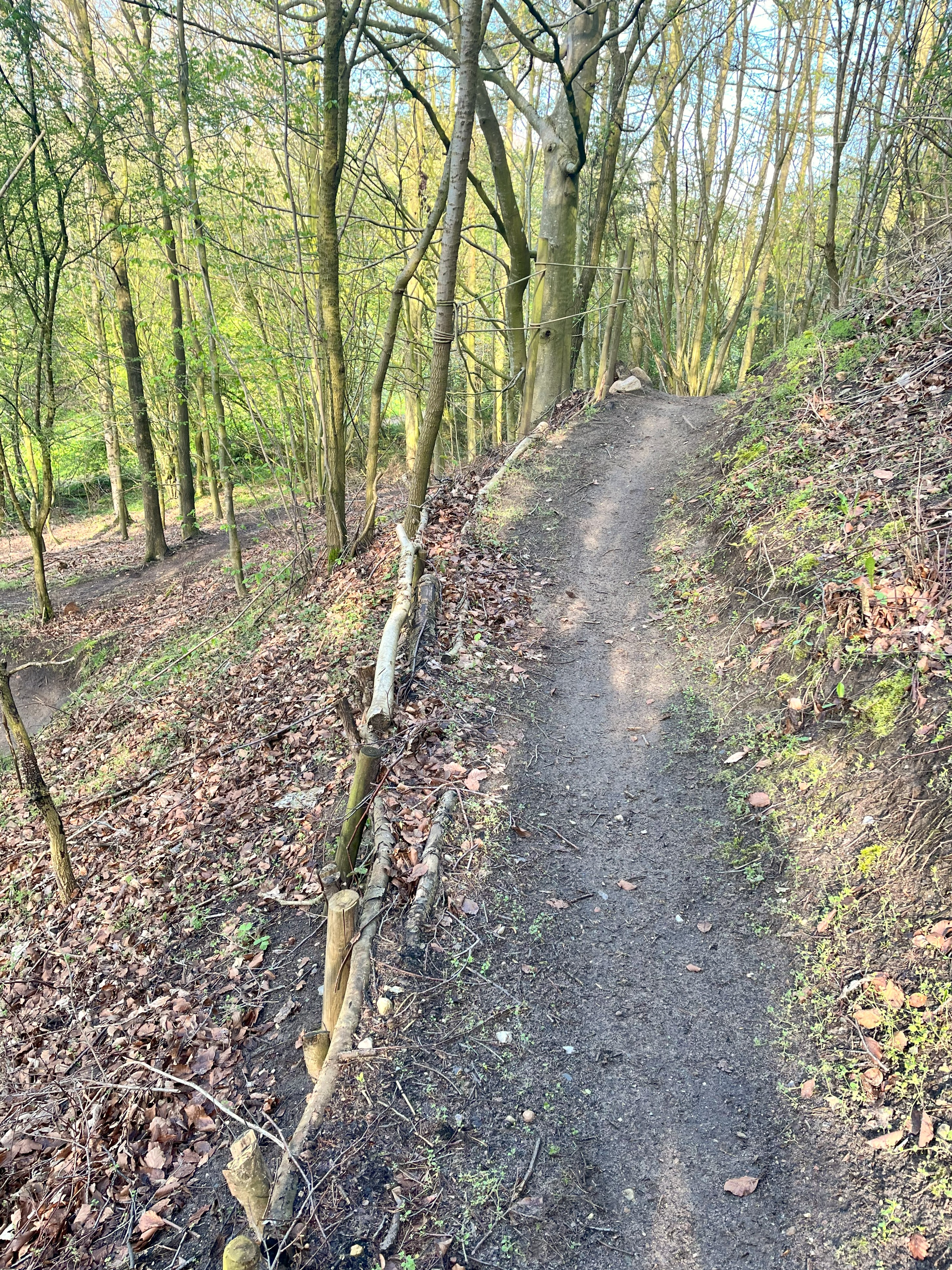 Mountainbikesporet Lærkedal på Sydfyn