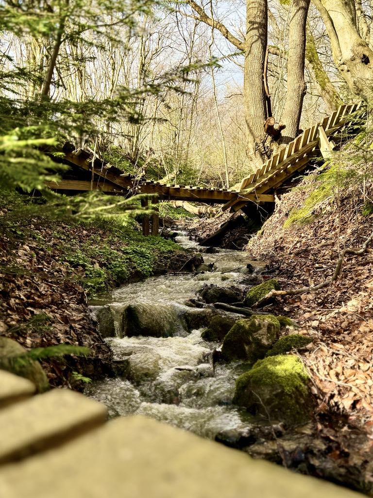 Mountainbikesporet Skovhuggeren i Svendborg med bro